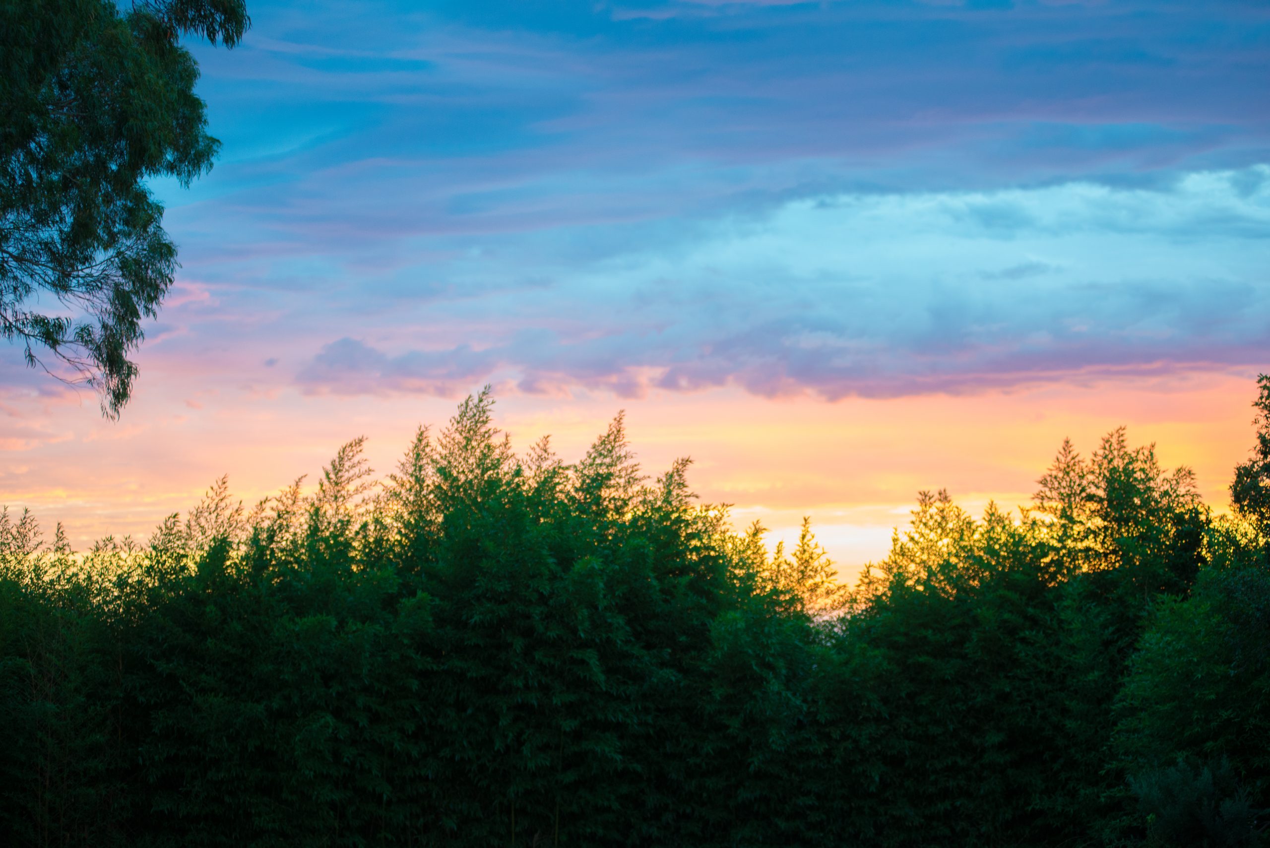 Australia - Bulli Point, New South Wales